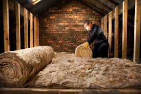 Professional Insulation Services in Belle Plaine, MN